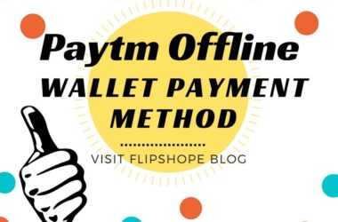 paytm offline wallet payment method option pin
