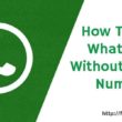 How To Use Whatsapp Without Mobile Number