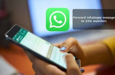 Forward Whatsapp message to 256 members