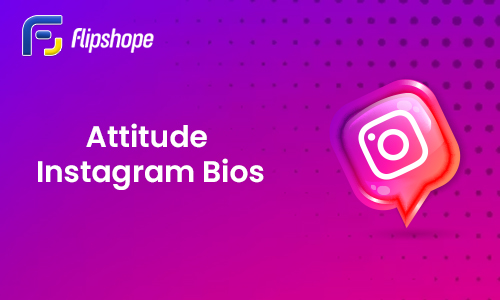 Attitude Instagram Bio for boys