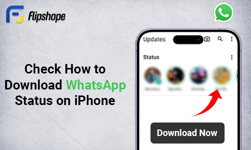 how to download WhatsApp status